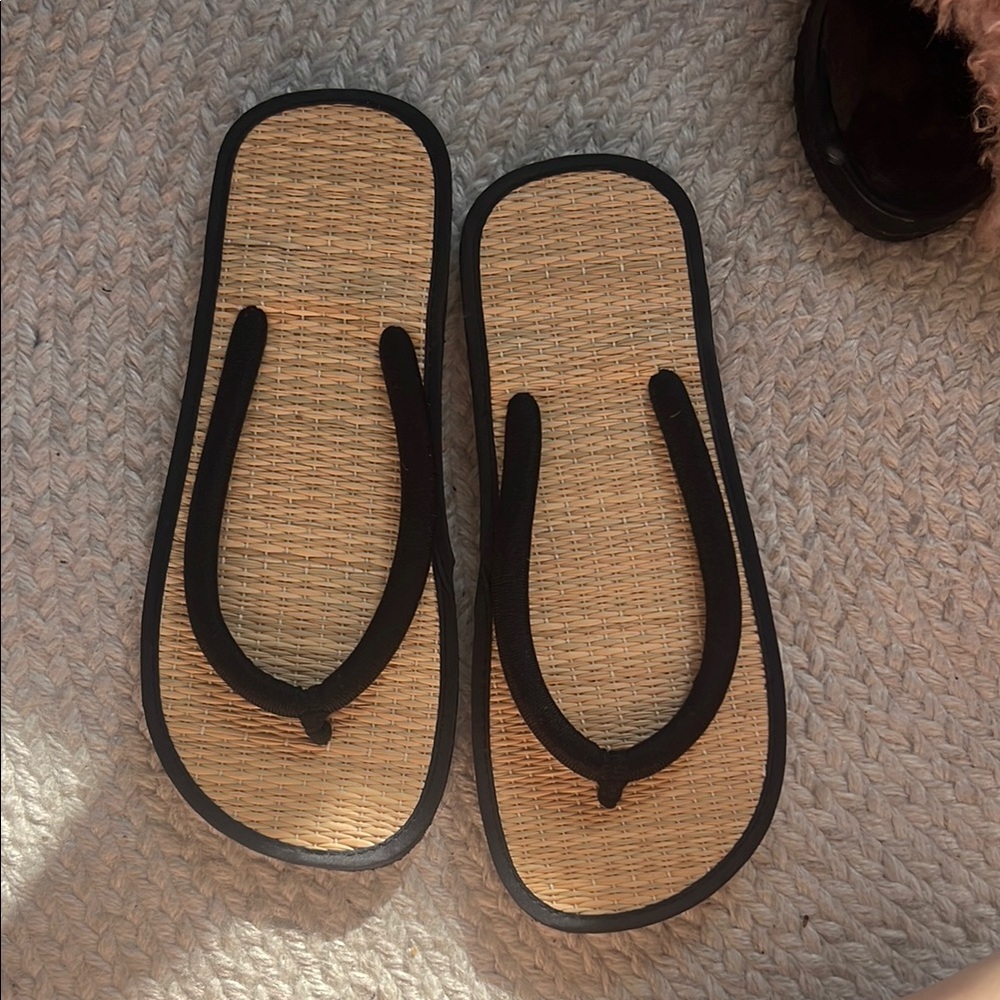 Stylish Black and Tan Flip Flops